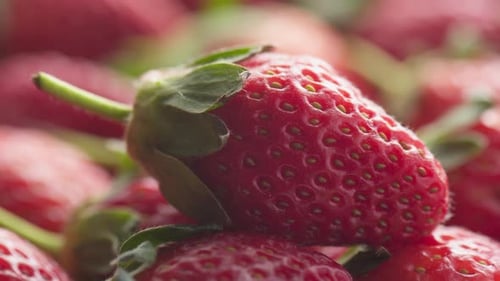 Closeup view of fresh ripe strawberry. Harvest of red berries