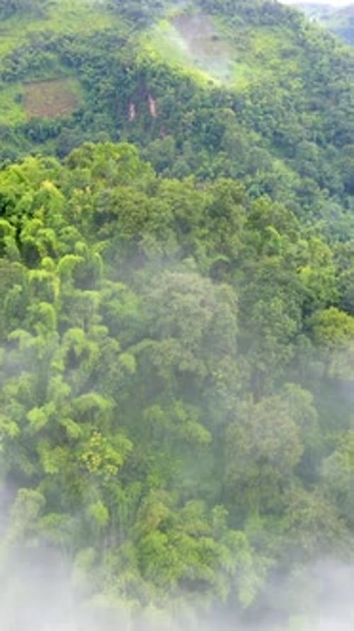Samoeng Forest Park Views of the Forest and Mountains Mae Sa Valley Loop Chiang Mai Thailand