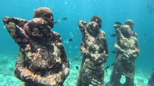 Underwater Statues Attract Marine Life in Clear Water