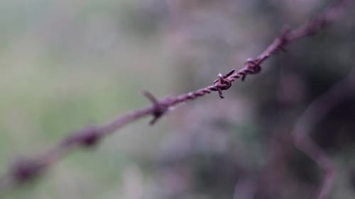 Barbelé : concept d'immigration clandestine, de mode de vie carcéral, d'incarcération, de prison, de réfugiés et de récréation