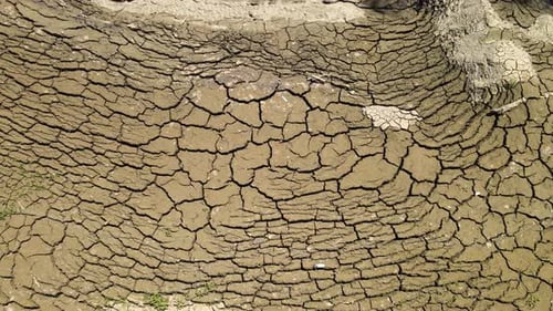 drought muddy nature
