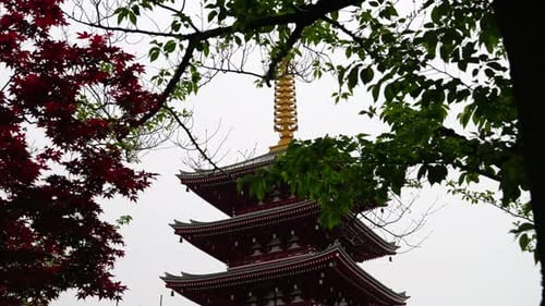 Beautiful pagoda at Senso-ji Shrine in Tokyo, Japan framed by trees