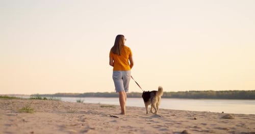 Young Woman Enjoying Evening Walk with Her Pet Dog on the Beach in Summer
