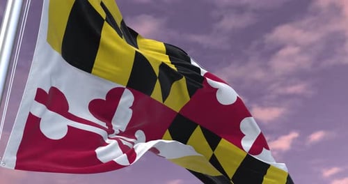 Maryland Flag Animation Minimal Corporate Video