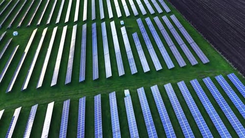 Solar panels cover fields with green grass under a clear sky