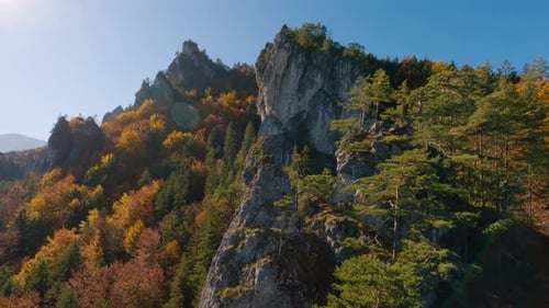 Panorama of Colorful Sunny Autumn Forest Mountains