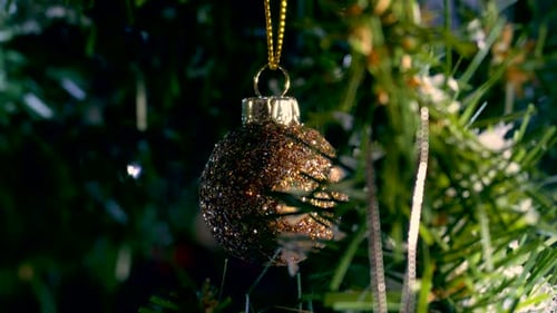 Festive Gold Christmas Ornament Hanging on Tree Branch