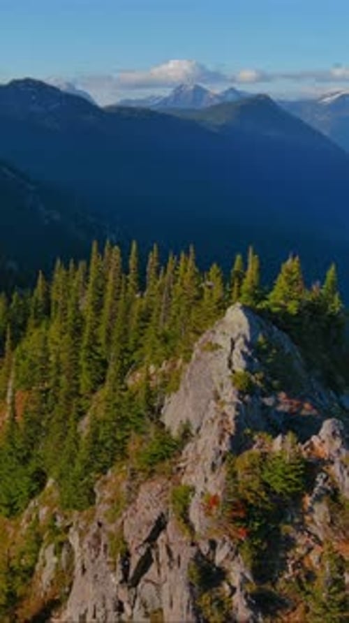 Mountain Top Forest View. British Columbia, Canada.