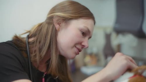 Veterinarian inspecting a ginger cat at the vet clinic