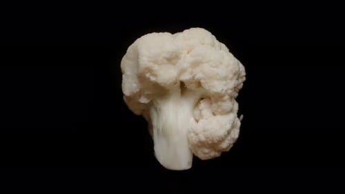 One white inflorescence of cauliflower, rotates on an isolated black background. Close-up.