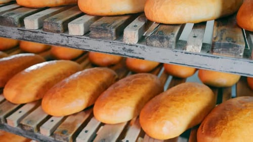 Freshly Baked Rye Bread on the Shelves in the Bakery