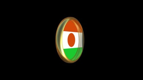 Golden Border 3D Niger Flag Button Spinning Animation