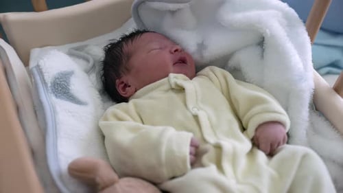 Newborn Infant Sleeping Peacefully in Crib at Home
