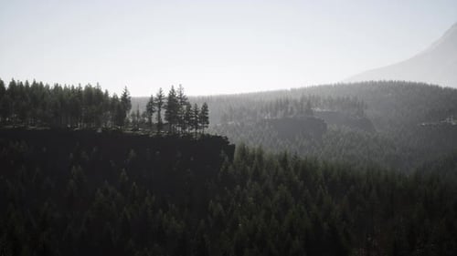 Misty Mountain Forest Landscape in the Morning