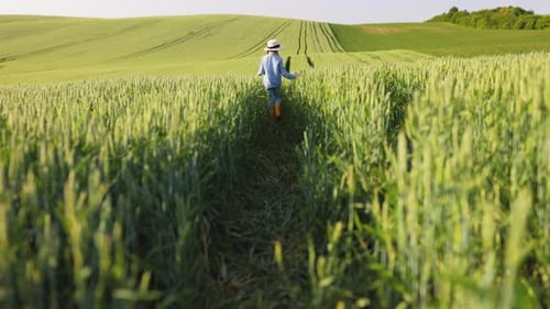Child Walking Through Wheat Field
