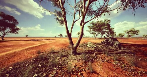Arid Landscape with Dry Terrain and Scattered Trees in the Australian Outback