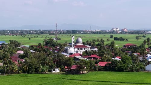 Aerial drone view of Penaga village mosque and rice fields
