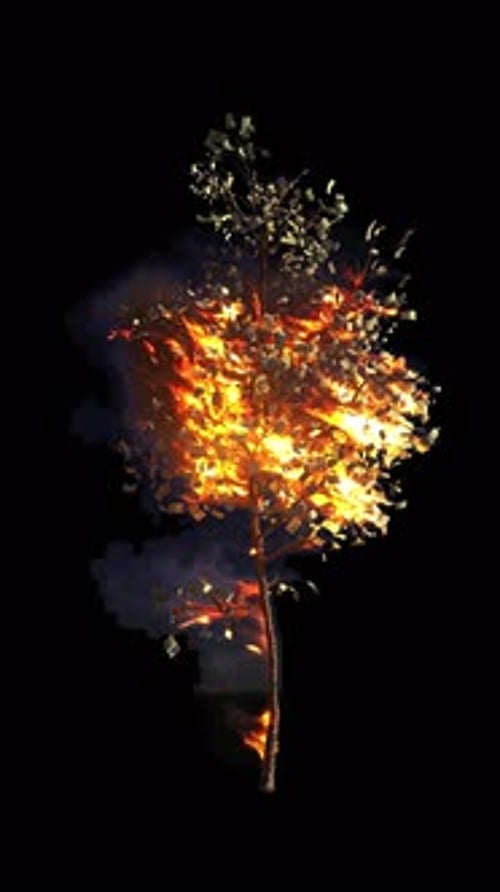 Burning Money Tree with Spreading Flames