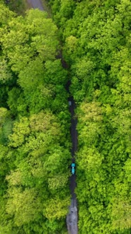 Aerial top view of car moving on the road in forest