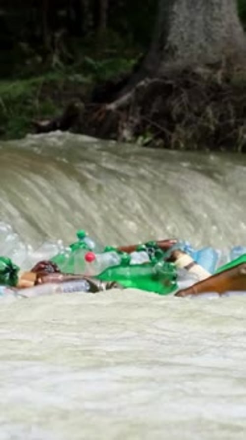 Plastic Pollution of Mountain Rivers in the Carpathians Vertical Video
