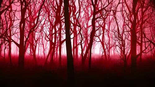 Creepy Woods