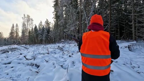Hunter hunting in a snowy forest. man wearing an orange vest and holding a hunting air gun in the wi