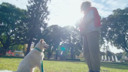 Dog Giving Paw, Getting Treat and Playing Fetch in the Park