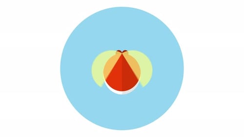 Animated Flat Design Beach Ball Icon