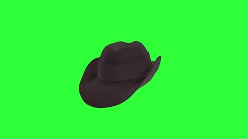 Cowboy Hat 3d object rotating loop
