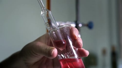 laboratoire de contrôle de la qualité des vins dans les établissements vinicoles