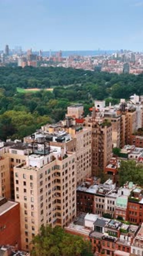 Part of the Central Park surrounded by multiple buildings. Sight of New York from top on day time