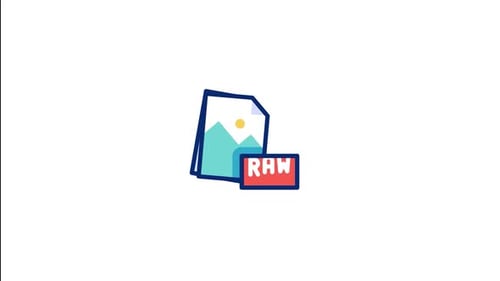 Raw File Animated Icon
