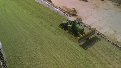 Dairy Farm aerial view. Corn silage packing. Feeding for cows