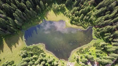 Miroir vert de la nature des Carpates.