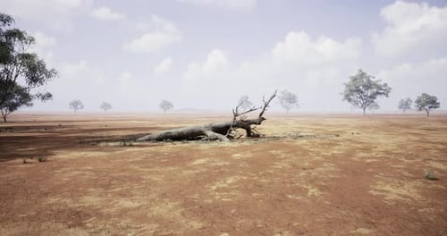 Dried Landscape Featuring Fallen Tree and Sparse Vegetation Under Cloudy Sky