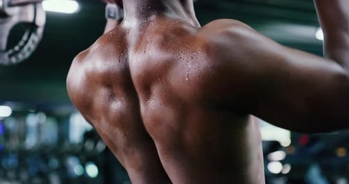 Back, fitness and weightlifting with black man in gym for bodybuilding or strength training