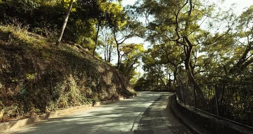 Malerische kurvenreiche Straße, die sich durch üppig grüne Waldhänge schlängelt