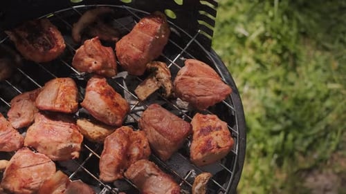 Grilling meat outdoors with green forest background enjoying nature fresh air and delicious barbecue