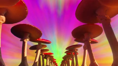 Surreal Mushroom Forest with Hallucination Effects