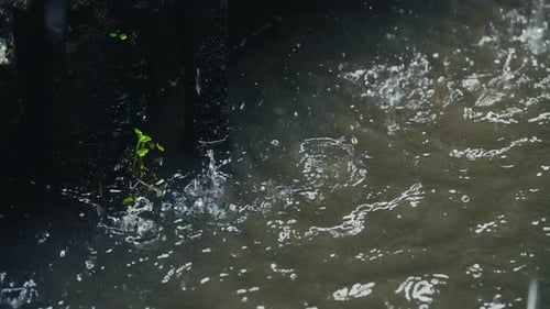 Close-Up and Slow Motion Splashing Raindrops Captured on River Surface