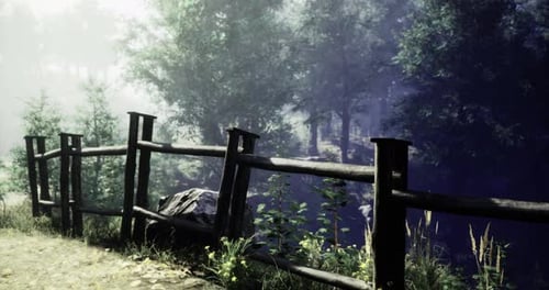 Wooden Fence Along a Serene Path Bordered By Lush Trees and a Peaceful Stream