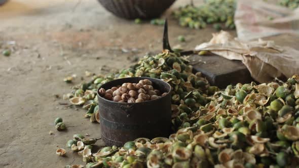 Peeled areca nuts surrounded by shells, close up, Food Stock Footage ft ...