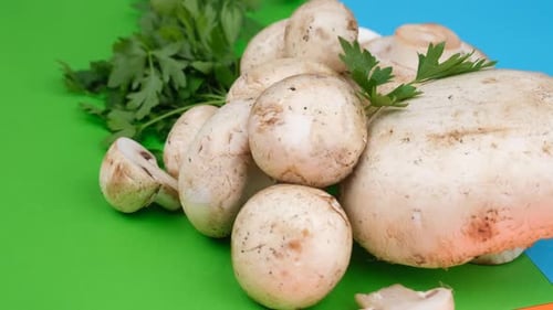 Button Mushrooms and Parsley on Colorful Background