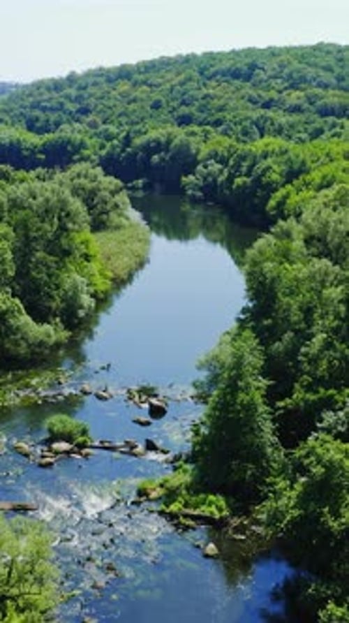 Fluss, der im Wald fließt. Luftaufnahme der ländlichen Landschaft