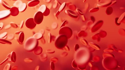 Blood and red blood cells