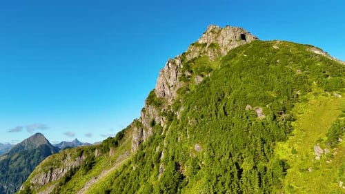 Aerial view of a mountain with forest, United States.