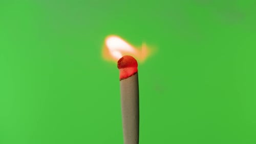 Burning Match on Green Chroma Key Background Fire Flame From Matchstick Hunting Matches Closeup