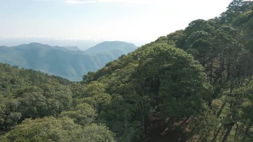 Luftaufnahme eines wilden Waldes in einer Bergkette, wunderschöne Berglandschaft, Gründung einer Überführung