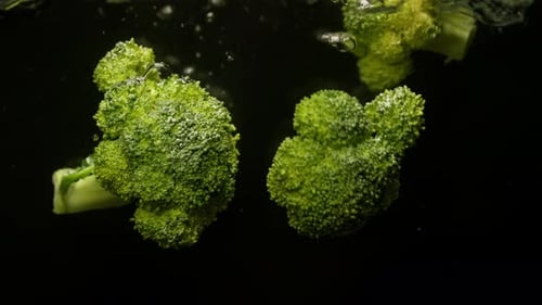 Background Video of Broccoli Falling Into Water for Cooking