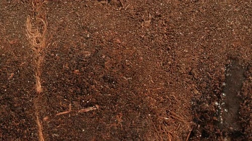 Bodenbeschaffenheit im Garten